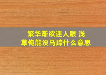 繁华渐欲迷人眼 浅草俺能没马蹄什么意思